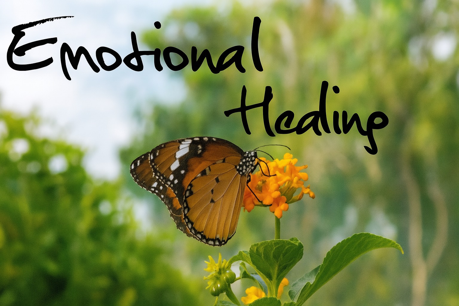 Emotional Healing Journey